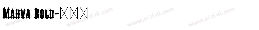 Marva Bold字体转换